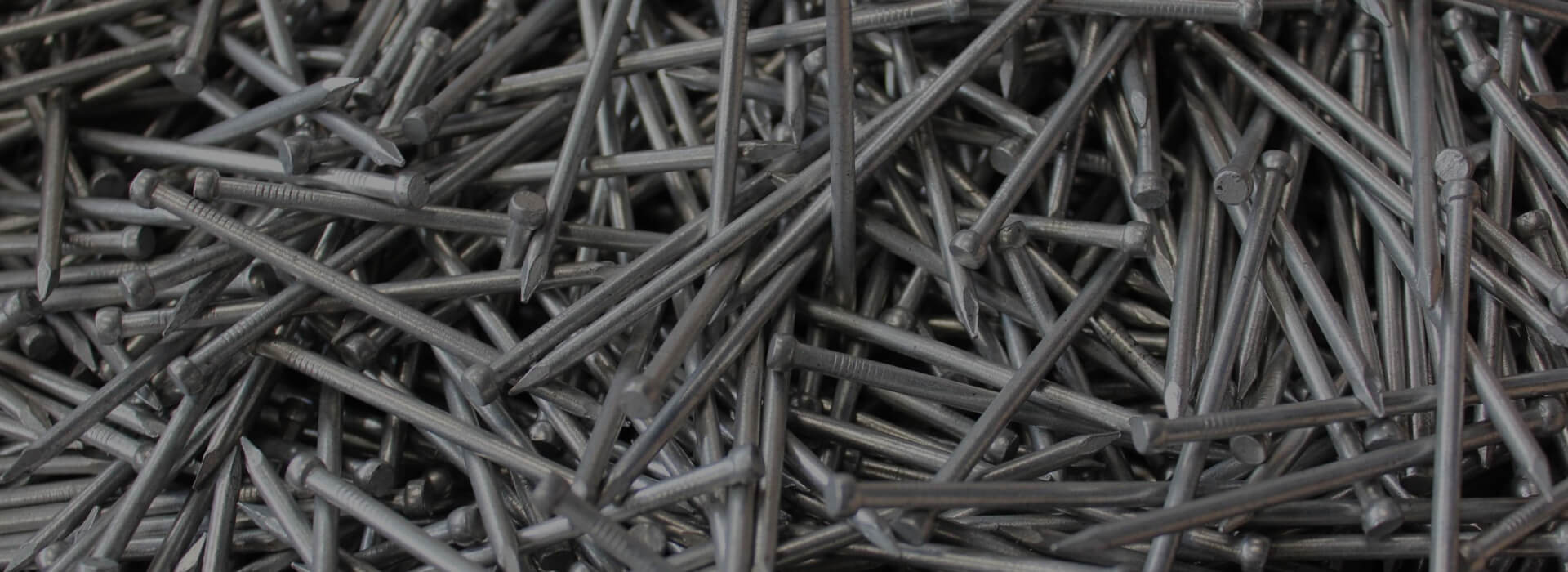 Nails - Trinrico Steel & Wire Products Limited